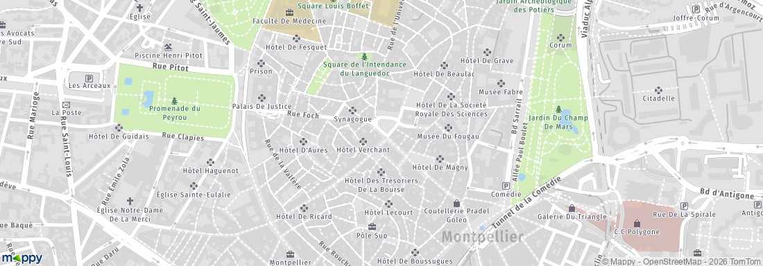 Parking Montpellier Foch Prefecture Marche Aux Fleurs Effia
