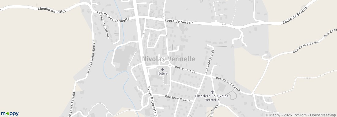 Le Geant De La Braderie Nivolas Vermelle