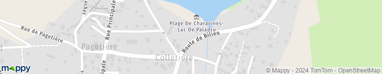 La Plage Charavines Restaurant Adresse Avis